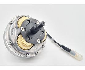 Inner motor unit, D-Type 36v/250w 2015